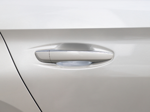 2019350THP PureTech {Ȥ (gu)V (x)(ji)^