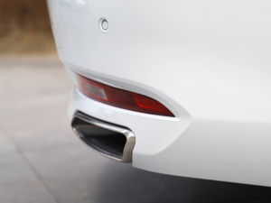 2019350THP PureTech {Ȥ V ^