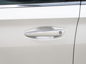 2019350THP PureTech {Ȥ V {T