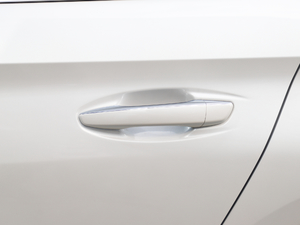 2019350THP PureTech {Ȥ V ^