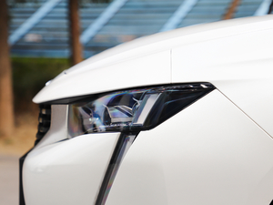 2019350THP PureTech {Ȥ V ^