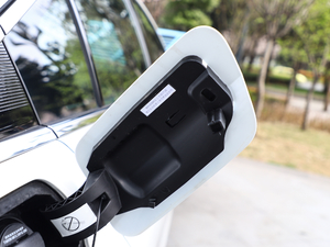 2019350THP PureTech {Ȥ V ^