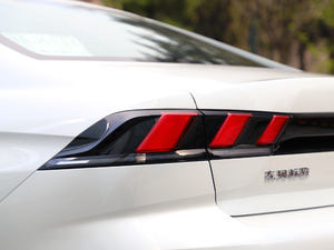 2019350THP PureTech {Ȥ V ^