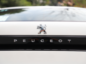 2019350THP PureTech {Ȥ V ^