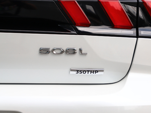 2019350THP PureTech {Ȥ V ^