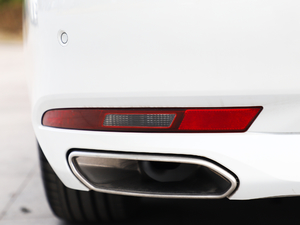 2019350THP PureTech {Ȥ V ^