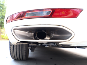 2019350THP PureTech {Ȥ V ^