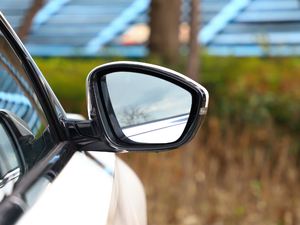 2019350THP PureTech {Ȥ V ^