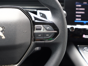 2019350THP PureTech {Ȥ V п؅^