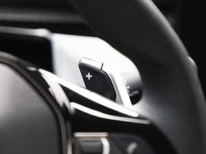 2019350THP PureTech {Ȥ V п؅^