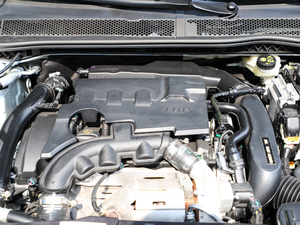 2019350THP PureTech {Ȥ V 