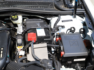 2019350THP PureTech {Ȥ V 