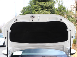 2019350THP PureTech {Ȥ V 