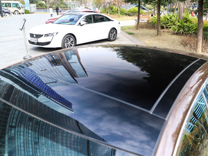 2019400THP PureTech {ذ VI ܇