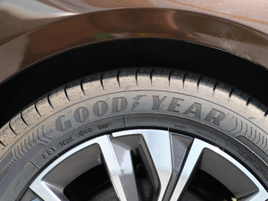 2019400THP PureTech {ذ VI ݆̥Ʒ