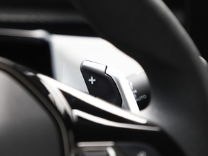 2019400THP PureTech {ذ VI п؅^