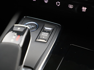 2019400THP PureTech {ذ VI п؅^