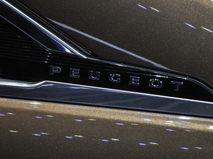 2019400THP PureTech  VI (ji)^