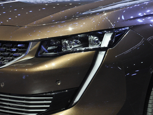 2019400THP PureTech  VI (ji)^