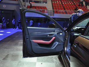 2019400THP PureTech  VI {λ܇T