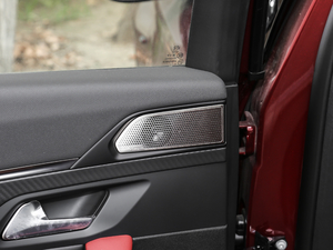 2019400 THP PureTech XP˰  VI g