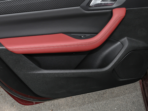 2019400 THP PureTech XP˰  VI g