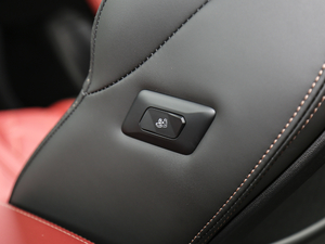 2019400 THP PureTech XP˰  VI g