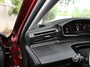 2019400 THP PureTech XP˰  VI g