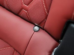 2019400 THP PureTech XP˰  VI g