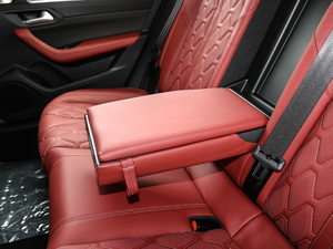 2019400 THP PureTech XP˰  VI 