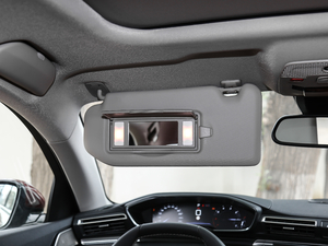 2019400 THP PureTech XP˰  VI g