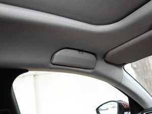 2019400 THP PureTech XP˰  VI g