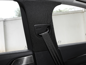 2019400 THP PureTech XP˰  VI g