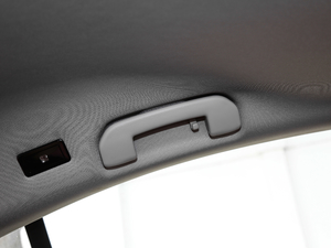 2019400 THP PureTech XP˰  VI g