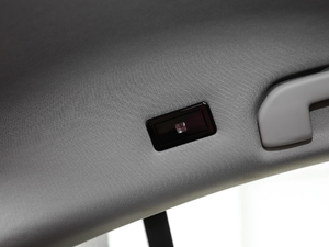 2019400 THP PureTech XP˰  VI g