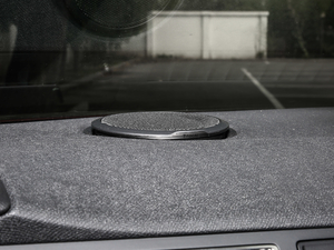 2019400 THP PureTech XP˰  VI g