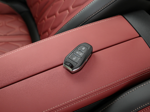 2019400 THP PureTech XP˰  VI ܇耳