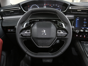 2019400 THP PureTech XP˰  VI P