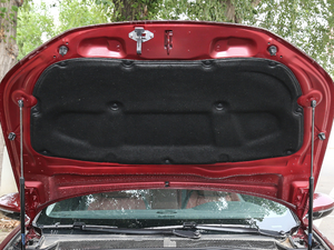 2019400 THP PureTech XP˰  VI 