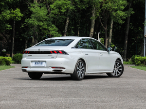 2019400THP PureTech  (gu)VI w^