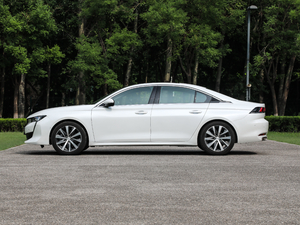 2019400THP PureTech  (gu)VI (c)