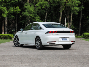 2019400THP PureTech  (gu)VI 45