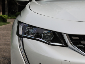 2019400THP PureTech  VI ^