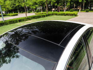 2019400THP PureTech  VI ܇