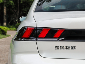 2019400THP PureTech  VI ^