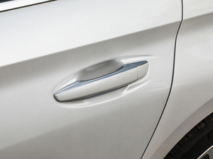 2019400THP PureTech  VI ^