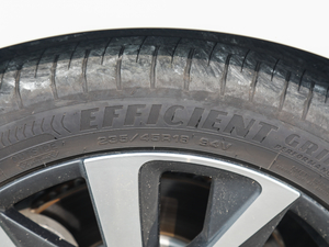 2019400THP PureTech  VI ݆̥ߴ