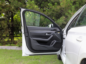 2019400THP PureTech  VI {λ܇T