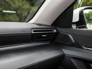 2019400THP PureTech  VI g