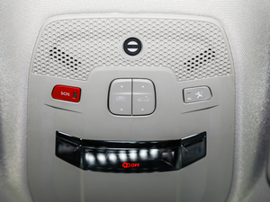 2019400THP PureTech  VI g